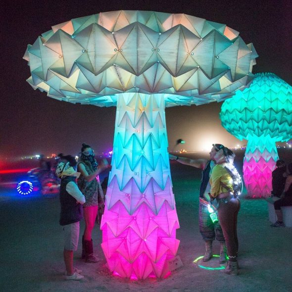 Mushroom art installation. These mushrooms would open up and bloom as you stepped on weight sensitive platforms.